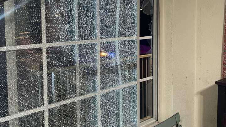 Petaluma man tased, arrested during standoff with police