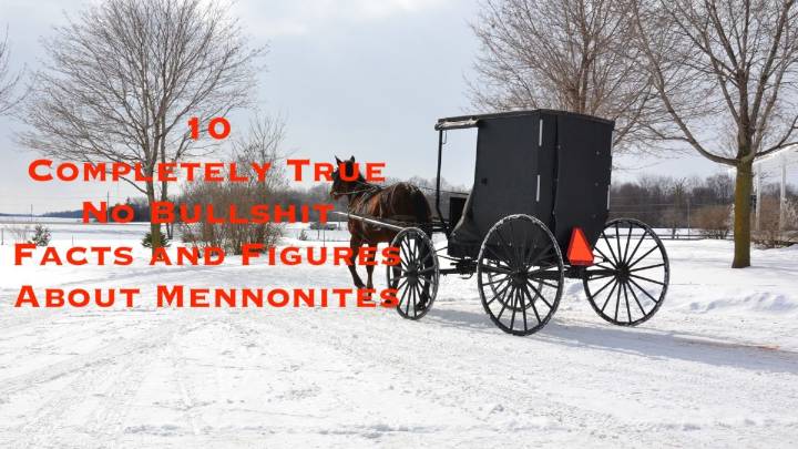 10 Completely True No Bullshit Facts and Figures for Your 'Mennonite Heritage Week' Article