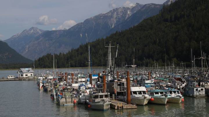 Grizzly attacks schoolchildren and teachers on a walking trail in Canada, injuring 11