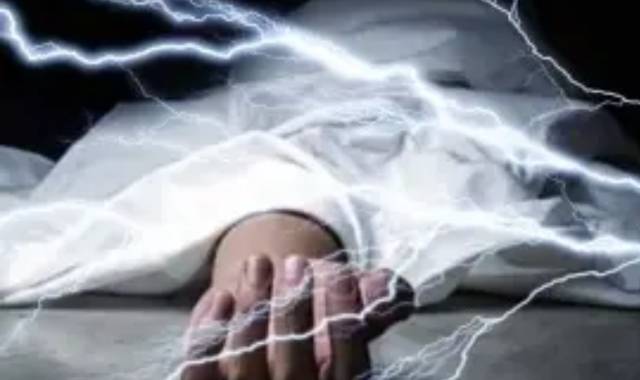 Man Dies After Touching Electrified Flower Plant in Balasore