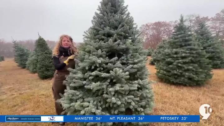 King’s Farms in Houghton Lake continues family Christmas tradition