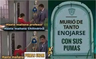Los más divertidos MEMES de la eliminación de Pumas de la Liga MX