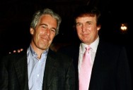 Who is ‘Bubba’? Speculation sparked after Trump and Epstein emails