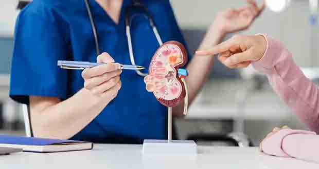 Study Finds Increase In Deaths Due To Kidney Problems Highest Following Tropical Cyclones