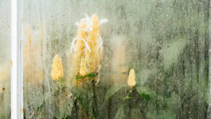 Ni cortinas ni mamparas: la tendencia de decoración que se impone en los baños modernos