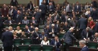 'Down With Communism': Brawl in Polish Parliament