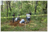 Hallan 4 cuerpos en fosa clandestina dentro de predio del diputado Carlos Bautista en Uruapan