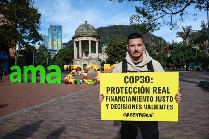 Greenpeace insta a una COP30 histórica por los bosques y el clima