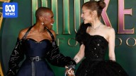 Cynthia Erivo praised for protecting co-star Ariana Grande from invader at Wicked event