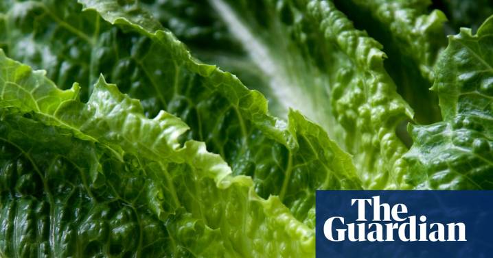 Officials at US-Mexico border seize $10.3m in meth hidden in lettuce shipment