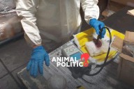 China impone licencias especiales para exportar precursores de fentanilo a EU, Canadá y México