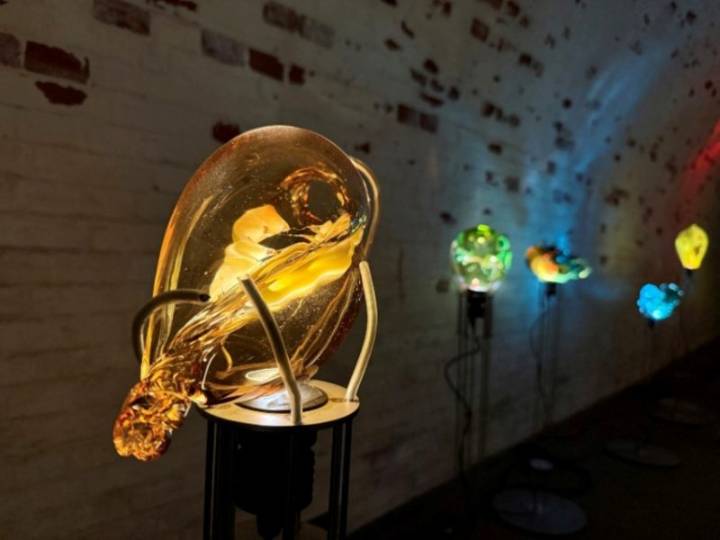 El IVAM presenta su programación 2026 con 13 exposiciones centradas en arte, territorio y sostenibilidad