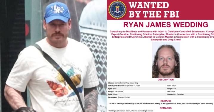 Recompensa récord de 115 millones de dólares: EU intensifica la caza del fugitivo Ryan James Wedding