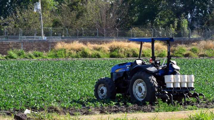 Inseguridad encarece hasta 20% los productos del campo en México: Jorge Esteve Recolons