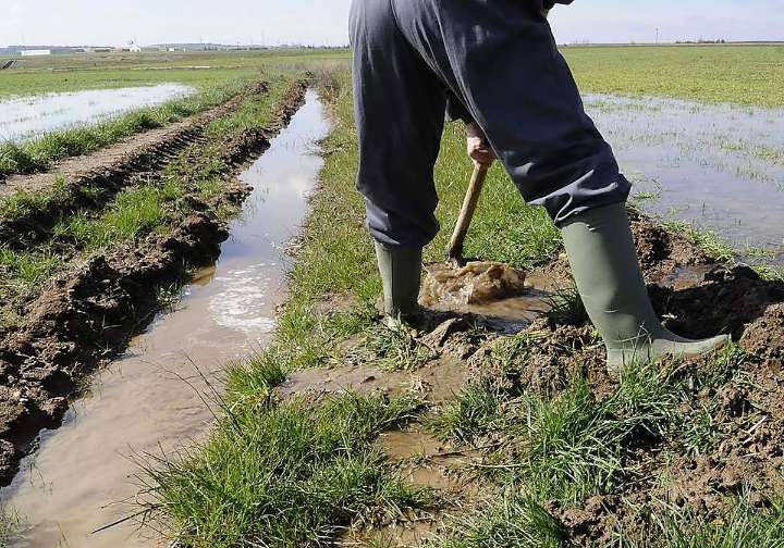 Las cabañuelas avisan de lo que pasará el mes que viene si se cumple el refrán: «Si llueve por San Francisco Javier...»
