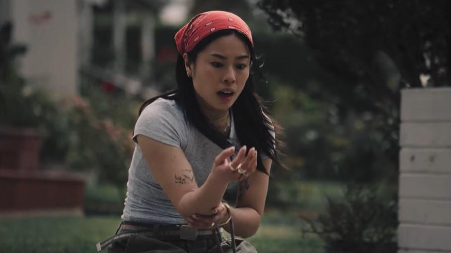 Aussie pet food label Lyka gets commercial dropped from Netflix after viewer backlash over ‘horrific’ content