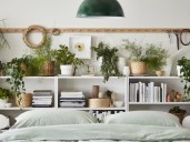 Mito o verdad: ¿las plantas en el dormitorio quitan oxígeno?