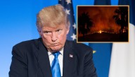 Trump Indicted For Hawaii Wildfire