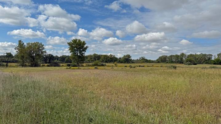 Forest Preserve District of Will County buys 500 acres near Crete