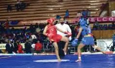 JKYSS 69th SGFI Nationals :    J&K shines on home ground with impressive Wushu performance