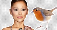 Ariana Grande Is Getting Into Bird