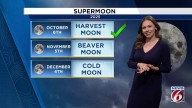 The Second Supermoon of 2025: Lighting Up November Skies
