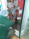 Decomisan más de 1.600 kilos de carne sin documentación sanitaria en Zapala
