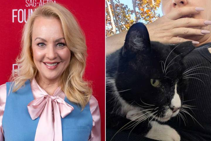 Wendi McLendon-Covey Shares Why She Embraces Being ‘Crazy’ Cat Lady (Exclusive)