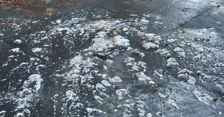 Burst sewer in Glasgow triggers 'jobby geyser' as human waste spews on street