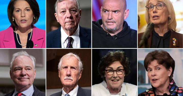 These 8 Democrats voted with Republicans on the government shutdown deal. Here's how they explain it