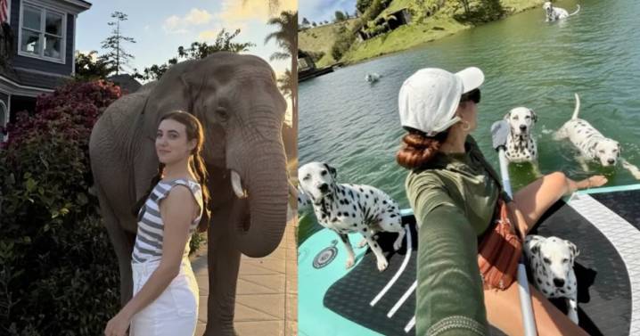 ¿Te imaginas tener una foto con un elefante? Pasos para agregar animales a tus fotografías con IA; el prompt perfecto