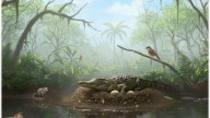 Scientists find evidence of ancient Aussie 'drop crocs'
