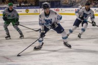 Worcester Railers fall at home to Reading