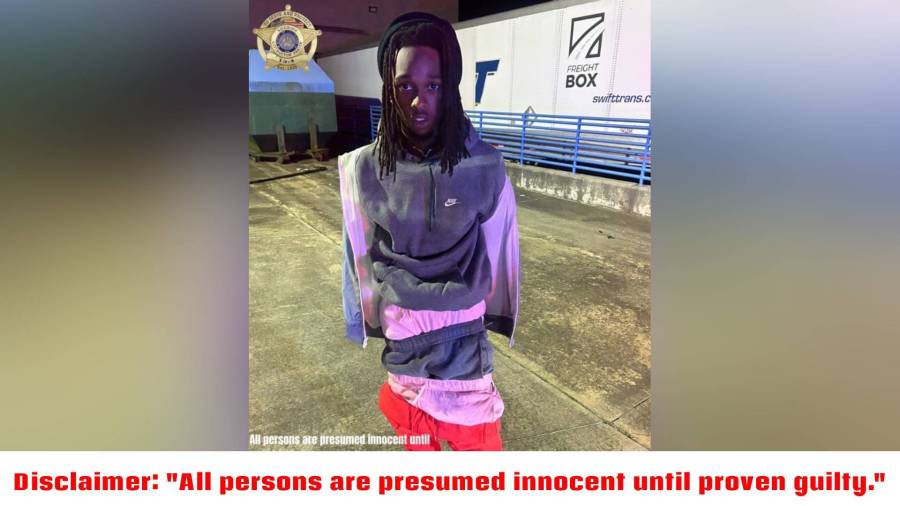 LPSO K9 catches fleeing shoplifting suspect outside of store