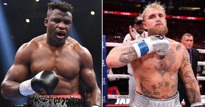 Francis Ngannou's real reason for rejecting Jake Paul fight