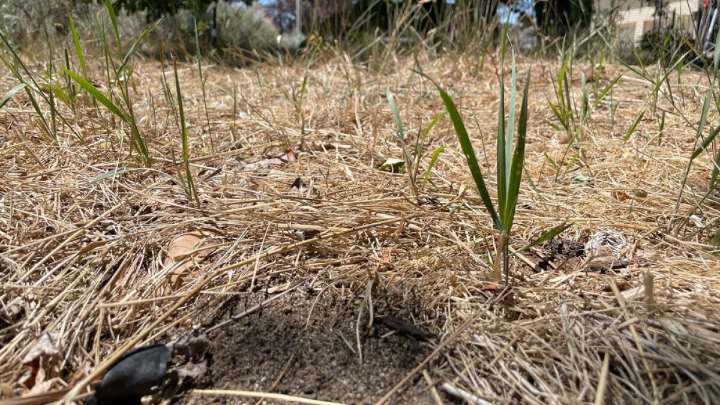 Experts expect NH’s drought to last through the winter