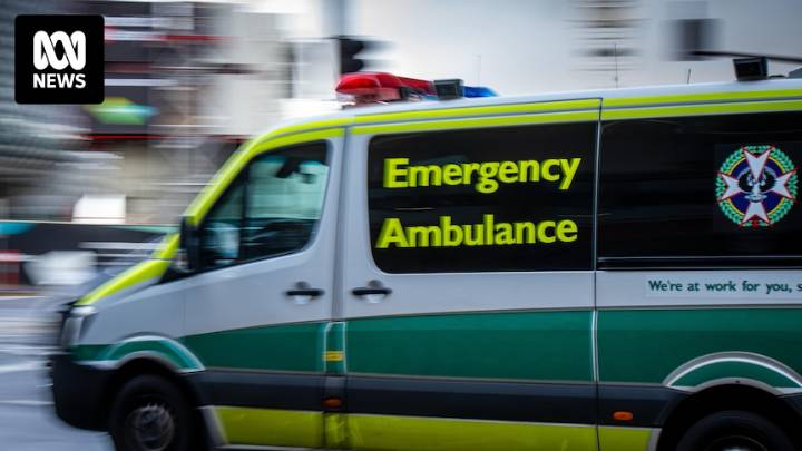 Woman kicked and punched in alleged assault near Mitcham Memorial Library