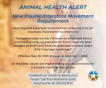 EHV OUTBREAK: Equine world on hold as disease hits Oklahoma