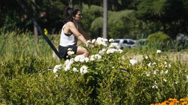 El tiempo en Rosario: ahora sí, sin lluvia ni viento y con las marcas en aumento