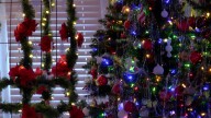 Hutchinson home celebrates Christmas with more than 40 decorated trees