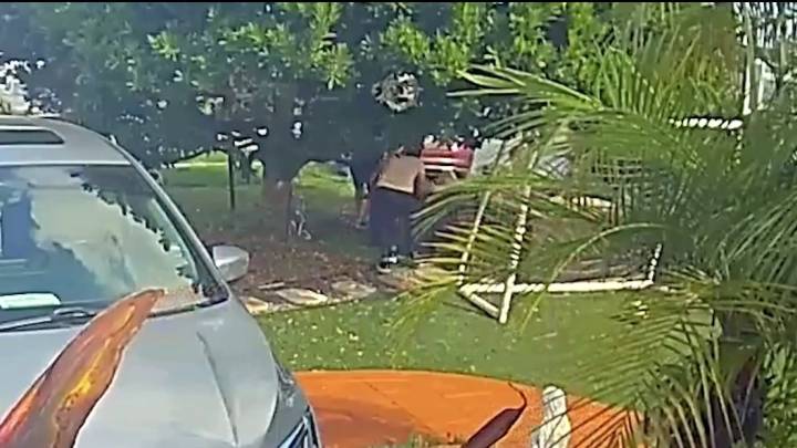 Man steals Christmas decorations from North Miami Beach home