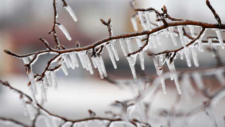 Will the polar vortex impact Alabama as December cold settles in?