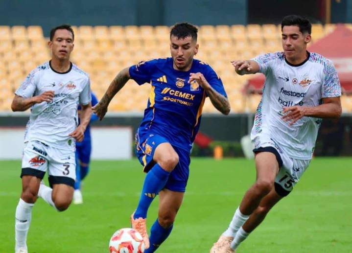 Vence Tigres a Alebrijes en amistoso