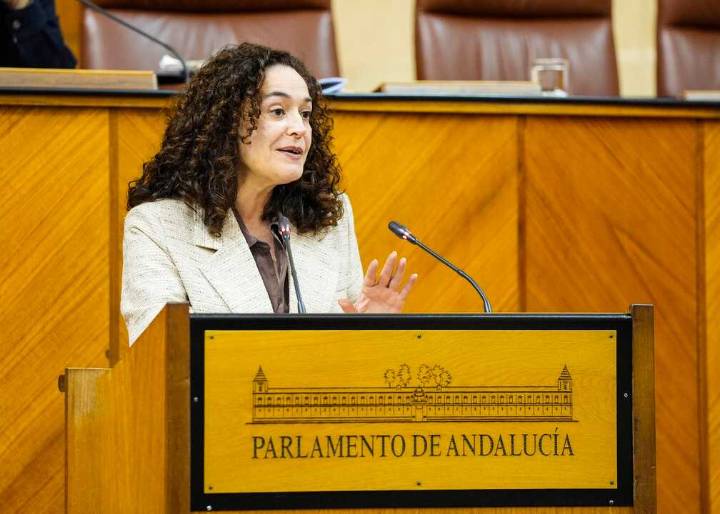 Por Andalucía justifica su rechazo al Presupuesto 2026 porque repite "errores"