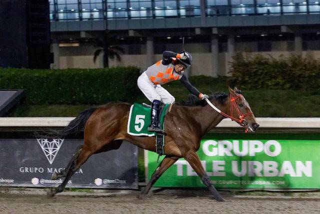 Rubén Escalona: Juventud y experiencia en Clásicos Dilic y Lea B