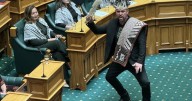 Maori Party chaos: two MPs expelled after vote
