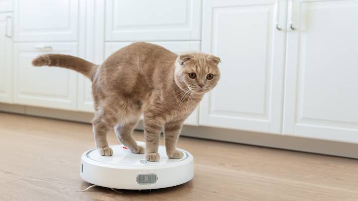 Company bricks $300 vacuum when owner blocks it from spying