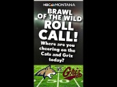 BRAWL OF THE WILD ROLL CALL!