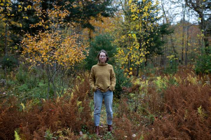 La pica una garrapata, pero el dolor es por la factura médica