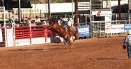 Cattle Call Rodeo brings a taste of the Wild West to Brawley